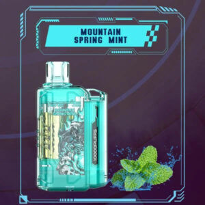 48.jpg IGET FLARE B10000 – Mountain Spring Mint