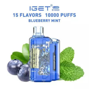 IMG-20240313-WA0063-600x600-1.jpg IGET FLARE B10000 – Blueberry Mint